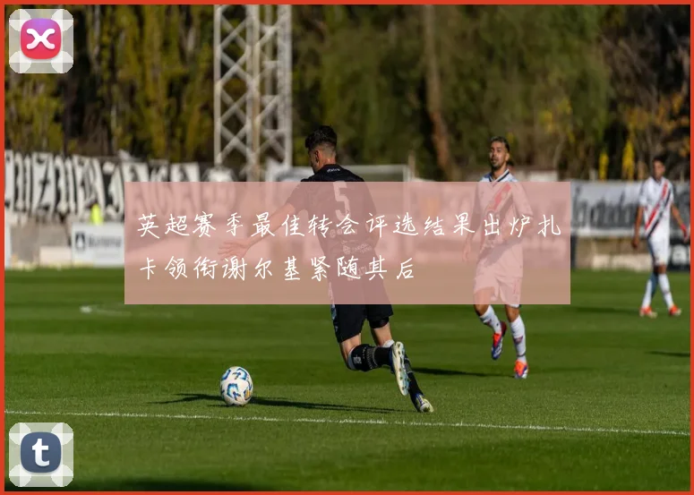 英超赛季最佳转会评选结果出炉扎卡领衔谢尔基紧随其后